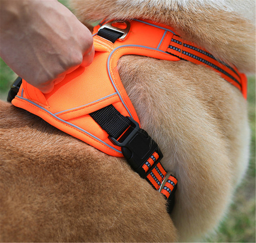 🐾 PeakPaws Waterproof No-Pull Harness