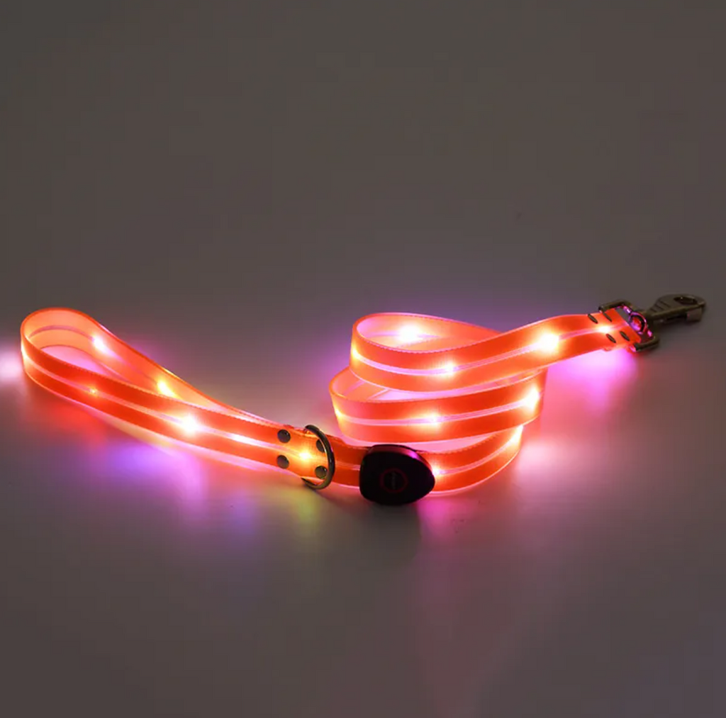 PeakPaws Rechargeable LED Dog Collar
