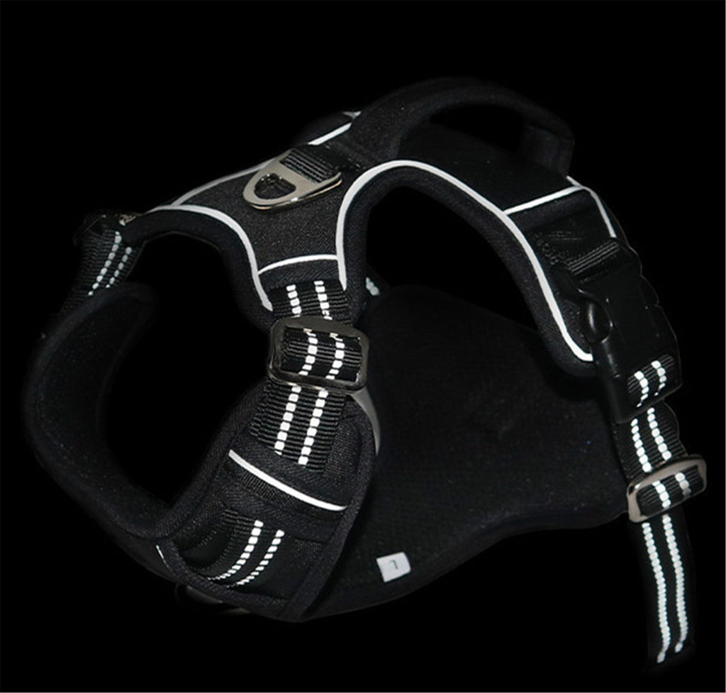 🐾 PeakPaws Waterproof No-Pull Harness